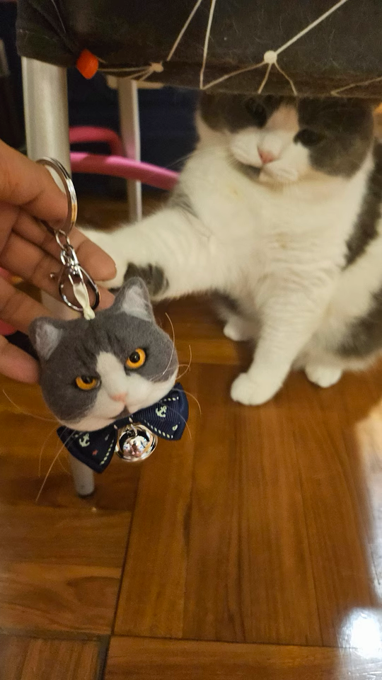 Handmade Custom Pet Keychain